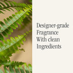 Pura & Brooklyn Candle Studio Home Scent Refill - Smart Air Diffuser - Up to 120-Hours of Luxury Fragrance per Refill - Home Essential - Clean & Safe Diffuser Fragrance - 2 Pack, Fern & Moss