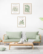 Unframed Sage Green Wall Art Set of 3,12x16IN Abstract Matisse Wall Decor,Quality Canvas Prints Posters Decoration for Bathroom Living Room Bedroom