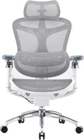 SIHOO Doro C300 Pro Ergonomic Office Chair with Ultra-Soft 6D Armrests, Dynamic Lumbar Support, Seat Depth Adjustment, Adjustable Backrest, Big and Tall Desk Chair for Home Office (Grey)