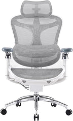 SIHOO Doro C300 Pro Ergonomic Office Chair with Ultra-Soft 6D Armrests, Dynamic Lumbar Support, Seat Depth Adjustment, Adjustable Backrest, Big and Tall Desk Chair for Home Office (Grey)