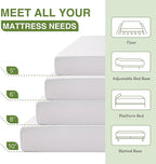 EGOHOME 8 Inch Queen Mattress, Memory Foam Mattress in a Box with Cooling Green Tea Gel, Relieve Pressure with Medium Firm Support, CertiPUR-US Certified, 80''L x 60''W, White