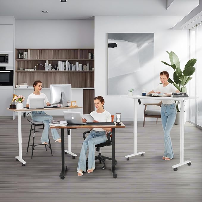 farexon Electric Standing Desk, Adjustable Height Mobile Home Office Desk, 48x24 Inches Ergonomic Computer Desk with 4 Preset Heights, 27-46in Lifting Range Stand up Desk（Black）