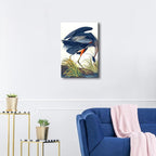 Wieco Art Canvas Print Wall Art Great Blue Heron by John James Audubon Vintage Poster Birds of America Antique Bird Illustration Wall Art for Living Room Home Kitchen Decorations