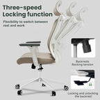 Ergonomic Office Chair - 350LB Mesh Office Chair with Adjustable Lumbar, High Back Computer Chair with 3D Armrests, Comfy Chair with 2D Headrest & Tilt Function for Study, Work, Gaming