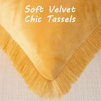 FUTEI Orange Velvet Decorative Throw Pillow Covers 12x20 Set of 2,Soft Cozy Edge with Tassels Lumbar Pillow Cases,Boho Modern Home Decor for Couch Bed Living Room