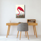 Wieco Art Canvas Print Wall Art American flamingo by John James Audubon The Birds of America Reproductions Art Print Picture Artwork for Living Room Bedroom Home Kitchen Decorations