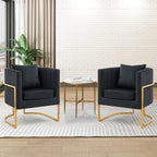 Velvet Modern Accent Chairs Set of 2, Upholstered Barrel Armchair Mid Century with Pillow for Living Room, Comfy Single Vanity Chair with Metal Gold Legs for Bedroom, Black