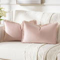 FUTEI Pink Velvet Decorative Throw Pillow Covers 12x20 Set of 2,Soft Cozy Edge with Tassels Lumbar Pillow Cases,Boho Modern Home Decor for Couch Bed Living Room
