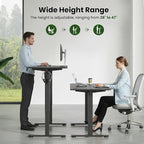 Casaphoria 40 x 24 inches Electric Standing Desk, Sit to Stand Desk with Memory Height Adjustment, Home Office Computer Desk for Writing and Games, Black