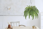 Hollyone 33" Artificial Boston Fern Hanging Basket Large 39 Leaves Fake Ferns in Rattan Pot Greenery Plants for Outdoors & Indoor Faux Fern Bush Basket Plant Patio Garden Home Decor Dusty Green