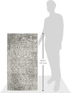 SAFAVIEH Evoke Collection 2'2" x 4' Grey/Ivory EVK256D Oriental Distressed Non-Shedding Living Room Bedroom Accent Rug