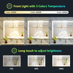 44x30 Inch RGB LED Bathroom Mirror Front Light and RGB Backlit Lighted Vanity Mirror for Bathroom Wall Mounted Dimmable Anti Fog Memory Shatter-Proof IP54 Waterproof Horizontal/Vertical