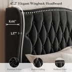 Belffin Queen Bed Frame with Headboard, Luxury Upholstered Velvet Platform Bed with Wingback, Button Tufted & Nailhead Trim, Anti-Slide Tall Footboard, No Box Spring Needed, Noise-Free, Black