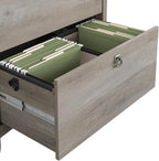 Bush Furniture Salinas 2 Drawer Lateral File Cabinet in Driftwood Gray, Home Office Storage Solution, Organizer with Drawers for Workspace, Filing Unit