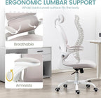 Yilaywain Ergonomic Office Chair, Home Office Desk Chair with Adjustable Headrest, High Back Computer Chair with Armrests and Lumbar Support for Home Office Study Room, Black & Gray (Grey)