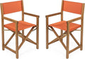 JONATHAN Y DRC1000C-SET2 Cukor Classic Vintage Outdoor Acacia Wood Folding Director Chair with Canvas Seat Classic, Vintage, Mid-Century, Modern, Traditional, Coastal, Orange/Teak Brown (Set of 2)