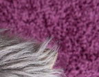 Unique Loom Solid Shag Collection Area Rug (6' 1" x 9' Rectangle, Eggplant Purple)