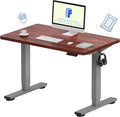 FLEXISPOT EN1 One-Piece Adjustable Stand Up Desk - Electric Height Adjustable, 40 x 24 Inches (Silver Frame, Mahogany Top, 2 Packages)