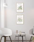 Unframed Sage Green Wall Art Set of 3,12x16IN Abstract Matisse Wall Decor,Quality Canvas Prints Posters Decoration for Bathroom Living Room Bedroom