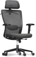 FLEXISPOT Classic Ergonomic Office Chair with High Back Swivel Computer Chair Executive Office Desk Chairs, with Lumbar Support/2D Headrest/Lockable Tilt Function, Foam Seat Cushion, Gray