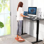 farexon Electric Standing Desk, Adjustable Height Mobile Home Office Desk, 48x24 Inches Ergonomic Computer Desk with 4 Preset Heights, 27-46in Lifting Range Stand up Desk（Black）