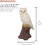 Alpine Corporation JUM584 Indoor Outdoor Life Like Owl on Tree Trunk Garden Static, Rustic Owl Statue for Yard, 28" Tall, White