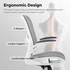 Office Chair Mesh Seat,Ergonomic Mesh Desk Chair with Adjustable Lumbar Support,Computer Chair with Flip-up Armrests, Rolling Executive Chairs, Home Office Chair(Grey)