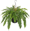 Hollyone Artificial Fern Hanging Basket Plant 25" Boston Ferns 31 Leaves Greenery Plants with Rattan Pot for Outdoors & Indoor Fake Fern Bush Plant in Pot for Patio Entrance Porch Garden Decor Green