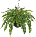 Hollyone Artificial Fern Hanging Basket Plant 25" Boston Ferns 31 Leaves Greenery Plants with Rattan Pot for Outdoors & Indoor Fake Fern Bush Plant in Pot for Patio Entrance Porch Garden Decor Green