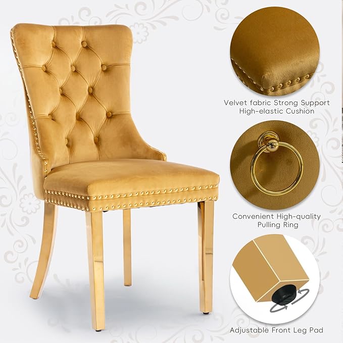 Velvet Upholstered Dining Chairs Set of 2, Modern Style Kitchen Side Chairs with Nailhead Trim and Gold Plated Leg, Metal Pulling Ring for Dining Room Living Room(Gold-Gold Plated Leg)