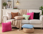 DEELAND Pack of 2,Double-Sided Faux Fur Plush Decorative Throw Pillow Covers Fuzzy Striped Soft Pillowcase Cushion Covers for Sofa Couch Bedroom Black 12x20 inch