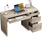 48 Inch Small Desk with Drawers, Computer Desk with Storage File Cabinet for Bedroom, Office Desk with Storage for Small Space, Walnut