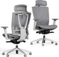 Autonomous ErgoChair Pro Ergonomic Office Chair Mesh Grey Adjustable Lumbar Support, Rolling Swivel - Home Office Desk Chairs with Wheels and Arms - Ergonomic Desk Chair Comfy for Gaming & Long Hours