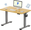 FLEXISPOT EN1 One-Piece Adjustable Desk 40 x 24 Inches Stand Up Desk Electric Height Adjustable Standing Desk with Seamless Desktop (Silver Frame + 40 inches Natural Top, 2 Packages)