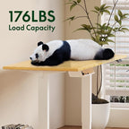 FLEXISPOT EN2 Whole-Piece Bamboo Standing Desk Clamp Power Strip, 55 x 28 Electric Stand Up Height Adjustable Desk with Cable Management (Grey Frame + 55" Bamboo Top, 2 Packages)