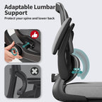 TRALT Office Chair - Ergonomic Desk Chair with Adjustable Lumbar Support, Mesh Computer Chair, Executive Chair for Home Office Comfortable Lumbar Support (Fog Gray)