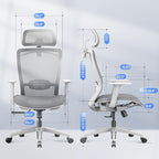 FLEXISPOT OC3 Air Ergonomic Office Chair High Back Computer Chair with Adjustable Lumbar Support/Armrest/, Breathable Mesh Seat Cushion Backrest, Chairs for Home Office Gaming Working, Light Gray