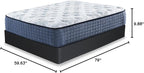 Signature Design by Ashley 10" Mattress Box Spring with Metal Foundation, Sturdy and Durable, Ready to Assemble, Parts and Tools Included, Queen, Removable Black Fabric Cover