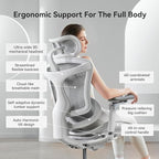 SIHOO Doro C300 Pro Ergonomic Office Chair with Ultra-Soft 6D Armrests, Dynamic Lumbar Support, Seat Depth Adjustment, Adjustable Backrest, Big and Tall Desk Chair for Home Office (Grey)