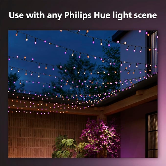 Philips Hue Indoor/Outdoor 65-Foot Festavia String Lights - 250 Mini Color Changing Smart LEDs - Weatherproof - Control with Hue App - Works with Alexa, Google Assistant and Apple HomeKit