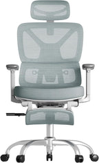 FLEXISPOT ErgoX Premium Ergonomic Office Chair with Footrest- Adjustable 3D Armrests, Dynamic Lumbar Support, Recline & Tilt Function, Mesh Seat, for Home & Office Use,Foam Blue