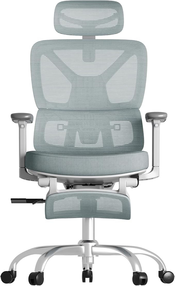 FLEXISPOT ErgoX Premium Ergonomic Office Chair with Footrest- Adjustable 3D Armrests, Dynamic Lumbar Support, Recline & Tilt Function, Mesh Seat, for Home & Office Use,Foam Blue