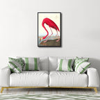 Wieco Art Framed Canvas Print Wall Art American flamingo by John James Audubon The Birds of America Reproductions Art Print for Living Room Bedroom Home Kitchen Decorations