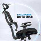 Chair Master Ergonomic High Back Mesh Office Chair, 3D Armrest, Adjustable Headrest, Variable Tilt (Nylon Casters)