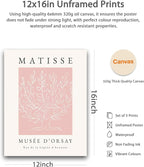 HesenDot Unframed Pink Wall Art Set of 3,12x16in Matisse Canvas Prints,Abstract Botanical Wall Decor Posters,Minimalist Modern Home Decoration for Living Room Bedroom Office