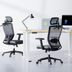 FLEXISPOT Classic Ergonomic Office Chair with High Back Swivel Computer Chair Executive Office Desk Chairs, with Lumbar Support/2D Headrest/Lockable Tilt Function, Foam Seat Cushion, Gray