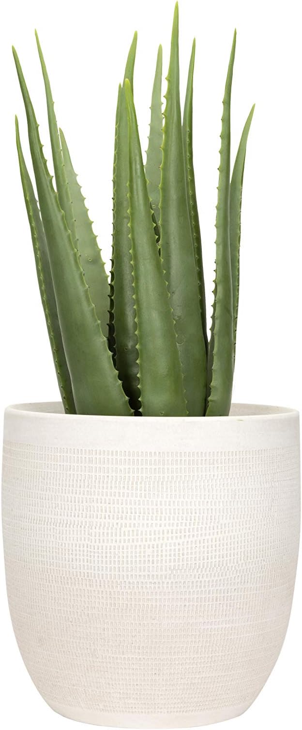 Creative Co-Op Large Matte White Embossed Stoneware Planter