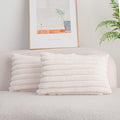 DEELAND Pack of 2,Double-Sided Faux Fur Plush Decorative Throw Pillow Covers Fuzzy Striped Soft Pillowcase Cushion Covers for Sofa Couch Bedroom