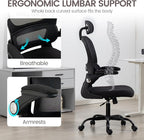 Yilaywain Ergonomic Office Chair, Home Office Desk Chair with Adjustable Headrest, High Back Computer Chair with Armrests and Lumbar Support for Home Office Study Room, Black & Gray (Black)