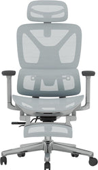 FLEXISPOT ErgoX Premium Ergonomic Office Chair with Footrest- Adjustable 3D Armrests, Dynamic Lumbar Support, Recline & Tilt Function, Mesh Seat, for Home & Office Use,Blue